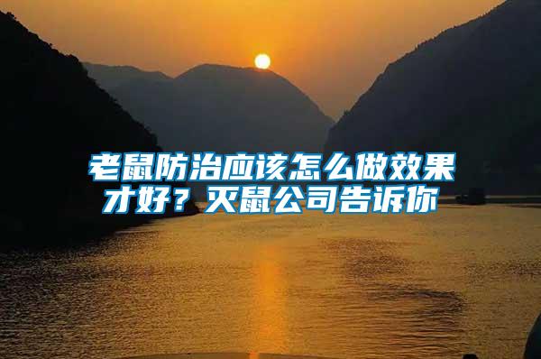 老鼠防治應(yīng)該怎么做效果才好？滅鼠公司告訴你