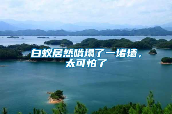 白蟻居然啃塌了一堵墻，太可怕了