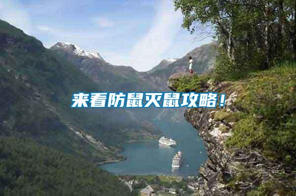 來看防鼠滅鼠攻略！