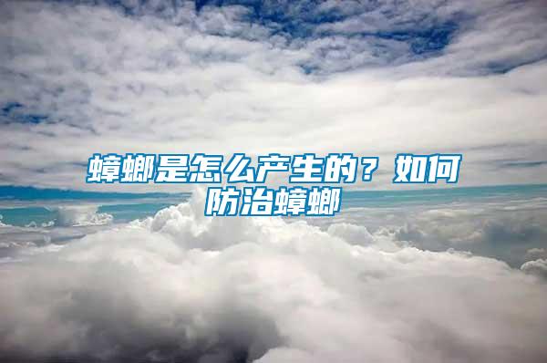 蟑螂是怎么產生的？如何防治蟑螂