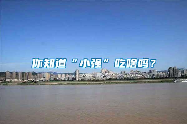你知道“小強(qiáng)”吃啥嗎?