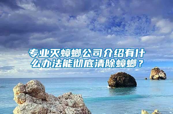 專業滅蟑螂公司介紹有什么辦法能徹底清除蟑螂？