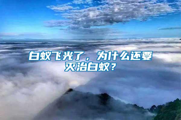 白蟻飛光了，為什么還要滅治白蟻？