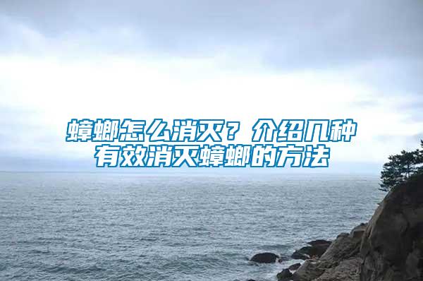 蟑螂怎么消滅？介紹幾種有效消滅蟑螂的方法