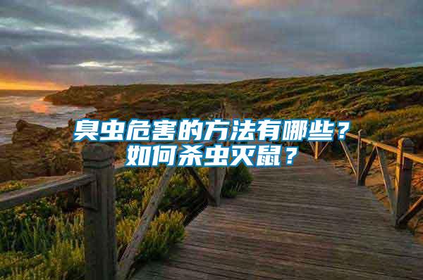 臭蟲危害的方法有哪些？如何殺蟲滅鼠？