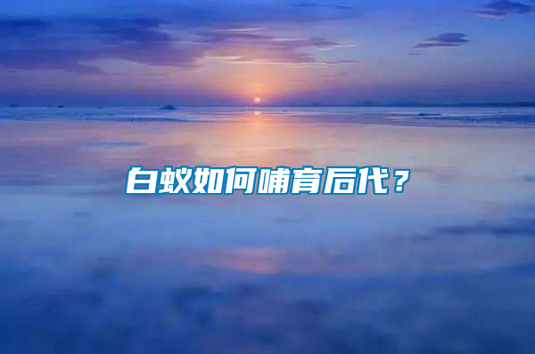 白蟻如何哺育后代?