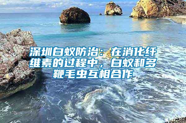 深圳白蟻防治：在消化纖維素的過程中，白蟻和多鞭毛蟲互相合作