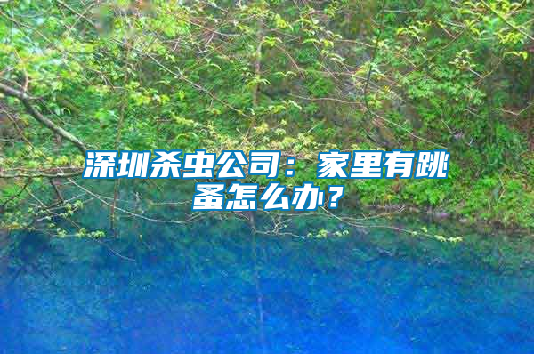 深圳殺蟲公司:家里有跳蚤怎么辦?