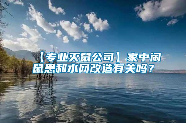 【專業(yè)滅鼠公司】家中鬧鼠患和水網改造有關嗎？