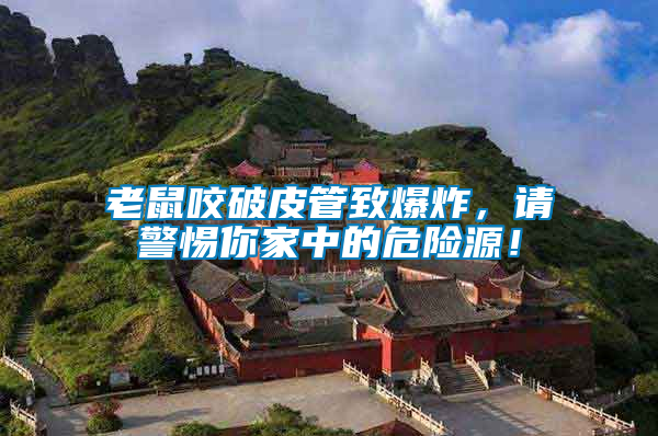 老鼠咬破皮管致爆炸，請警惕你家中的危險(xiǎn)源！