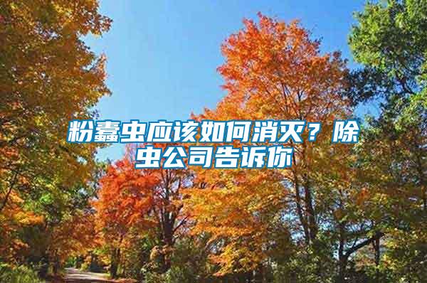 粉蠹蟲應該如何消滅？除蟲公司告訴你