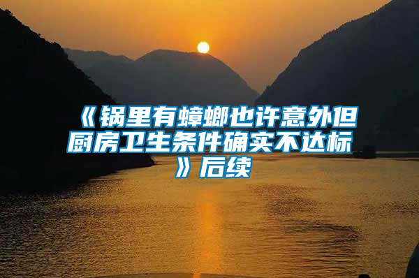 《鍋里有蟑螂也許意外但廚房衛(wèi)生條件確實不達標》后續(xù)