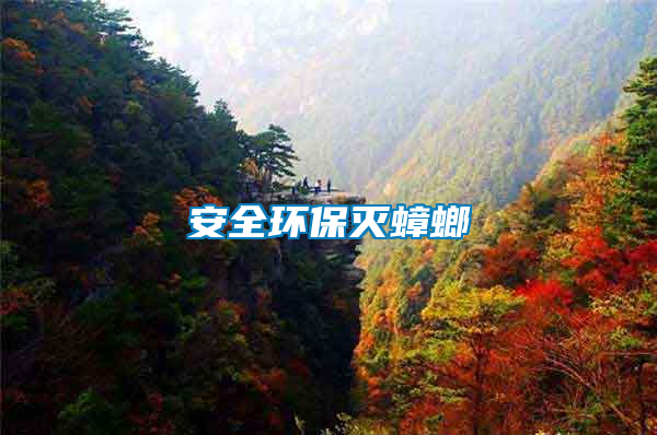 安全環保滅蟑螂