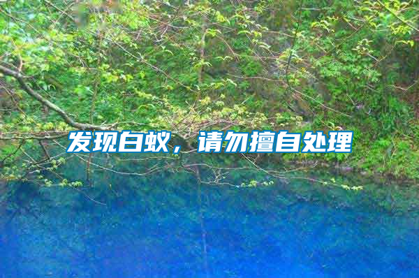 發(fā)現(xiàn)白蟻，請勿擅自處理