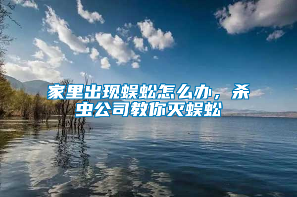 家里出現蜈蚣怎么辦，殺蟲公司教你滅蜈蚣