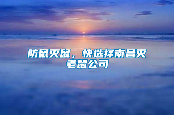 防鼠滅鼠，快選擇南昌滅老鼠公司
