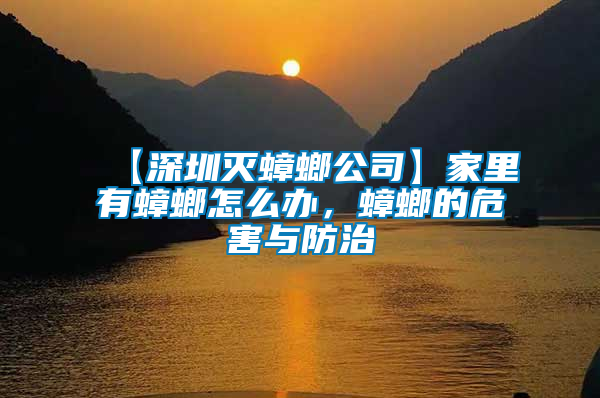 【深圳滅蟑螂公司】家里有蟑螂怎么辦，蟑螂的危害與防治