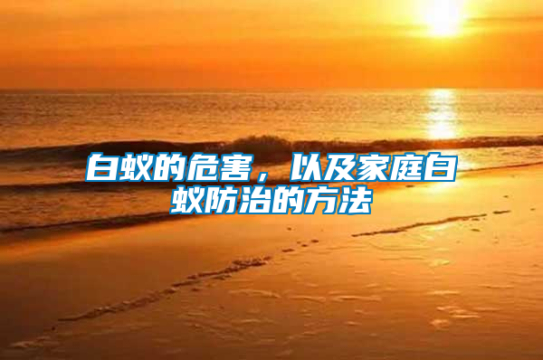 白蟻的危害,以及家庭白蟻防治的方法