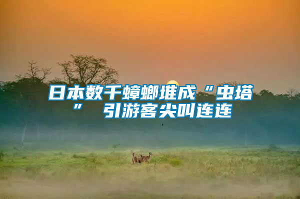 日本數(shù)千蟑螂堆成“蟲(chóng)塔” 引游客尖叫連連